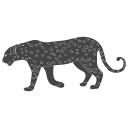 cheetah-icon Cheetah Icon