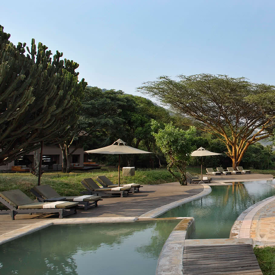 Kichwa Tembo Pool