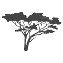 tree-icon African Tree Icon