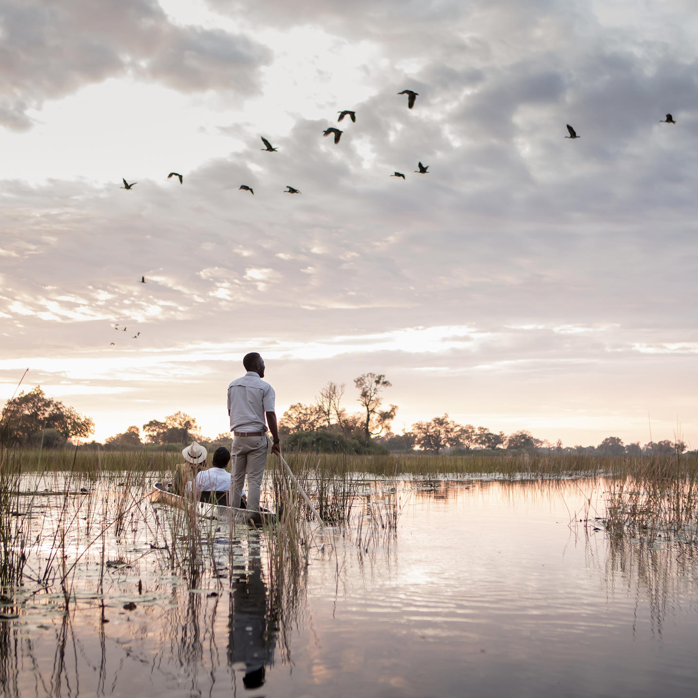 Essential Botswana Safari 