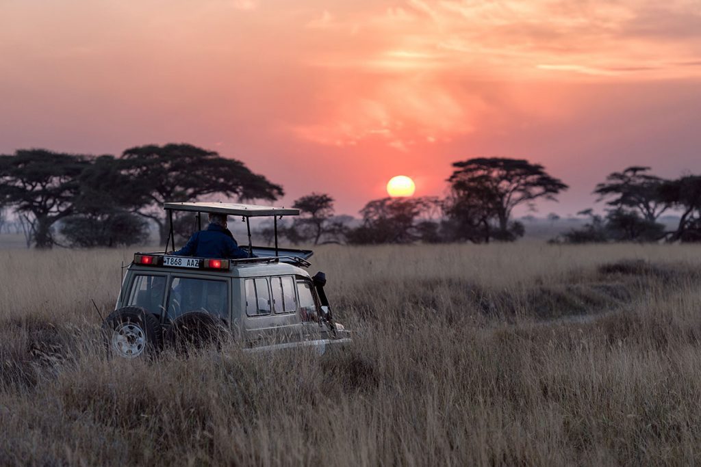 Sunset Safari in Serengeti, Tanzania