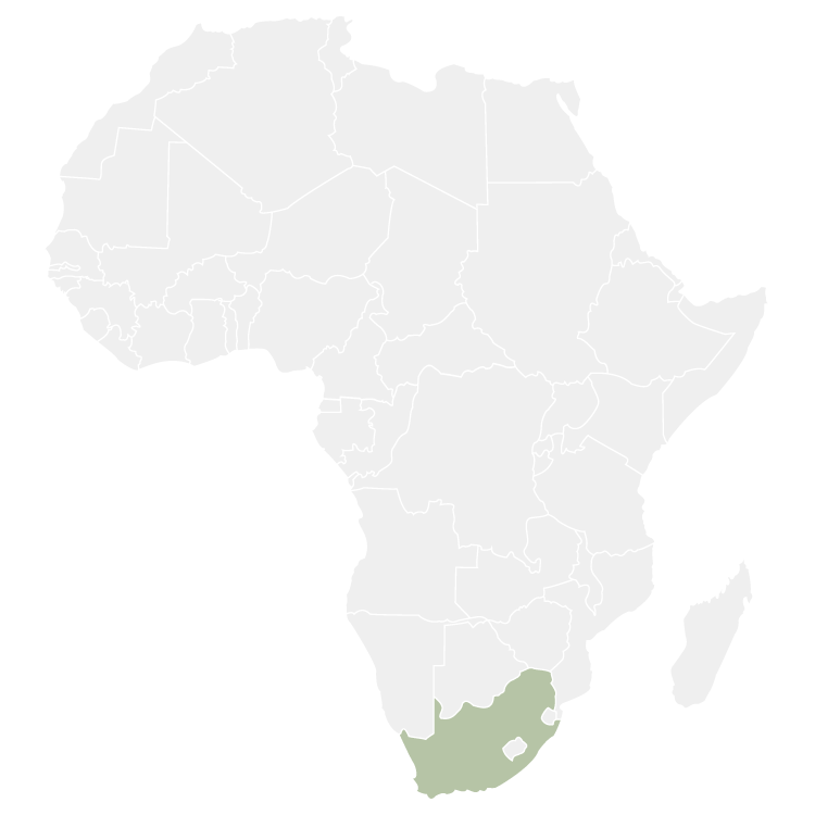 south-africa South Africa