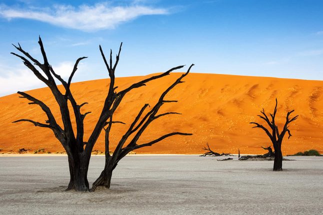 Trees and Red Dunes in Dead Vlei, Sossuslvei, Namibia