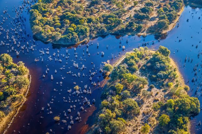 Aerial View of Okavango Delta