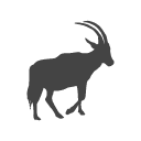 Antelope Icon