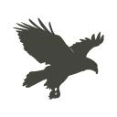 Eagle Icon