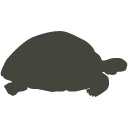 giant-tortoise Giant Tortoise Icon