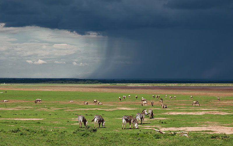 Approaching Storm in Lake Manyara National Park