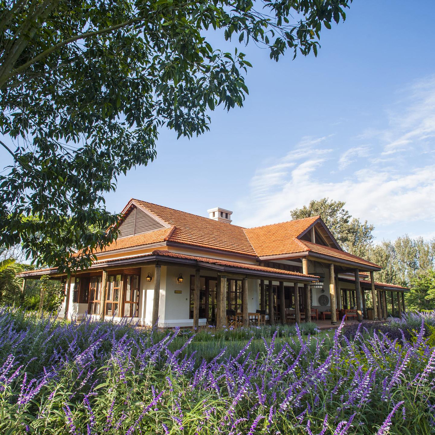 Legendary Lodge | Arusha | Tanzania 