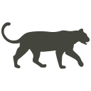 leopard-icon Leopard Icon
