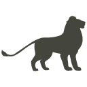 Lion Icon