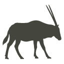 Oryx Icon