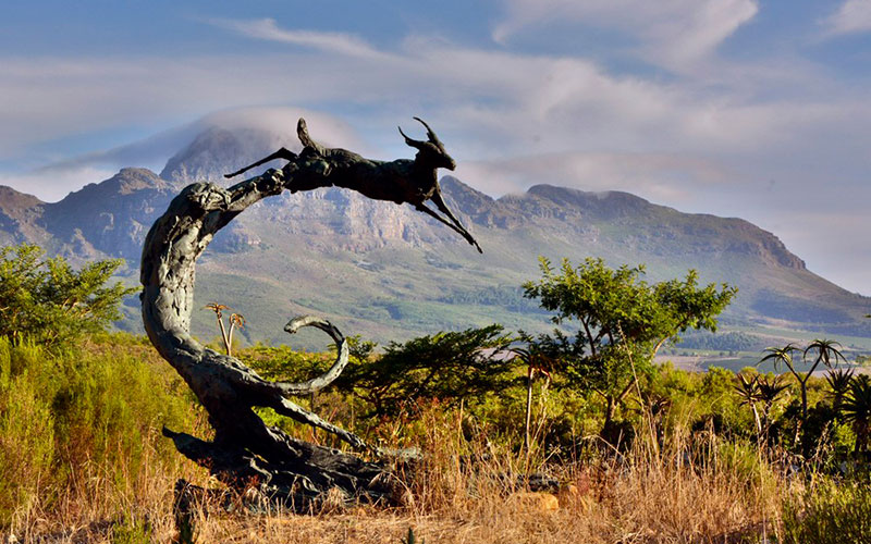 Sculpture of Animal Carved into Wood in Cape Town