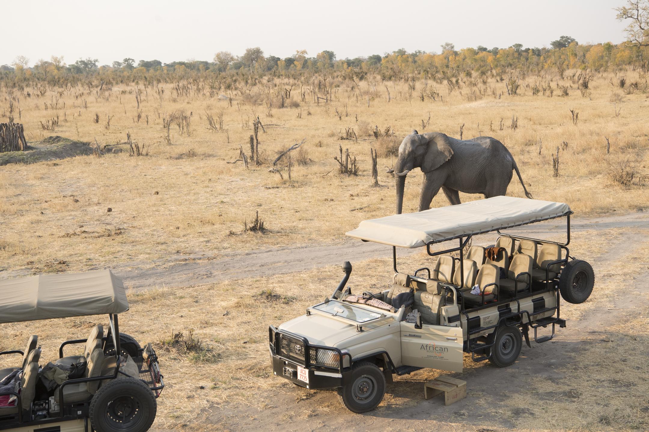 The Ultimate Zimbabwe Escape 