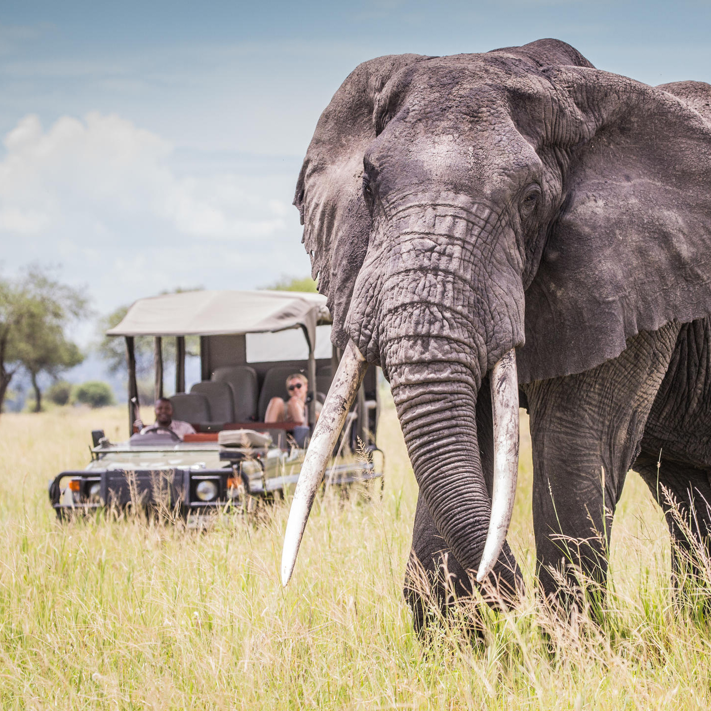 Tarangire National Park 