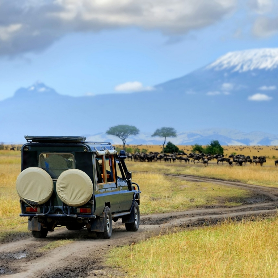 Amboseli National Park