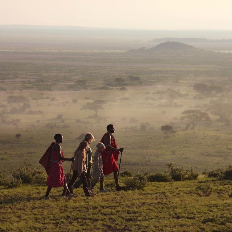 The ultimate Kenya Safari