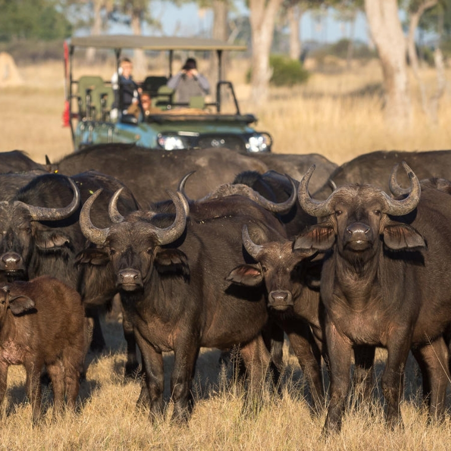 Hwange National Park