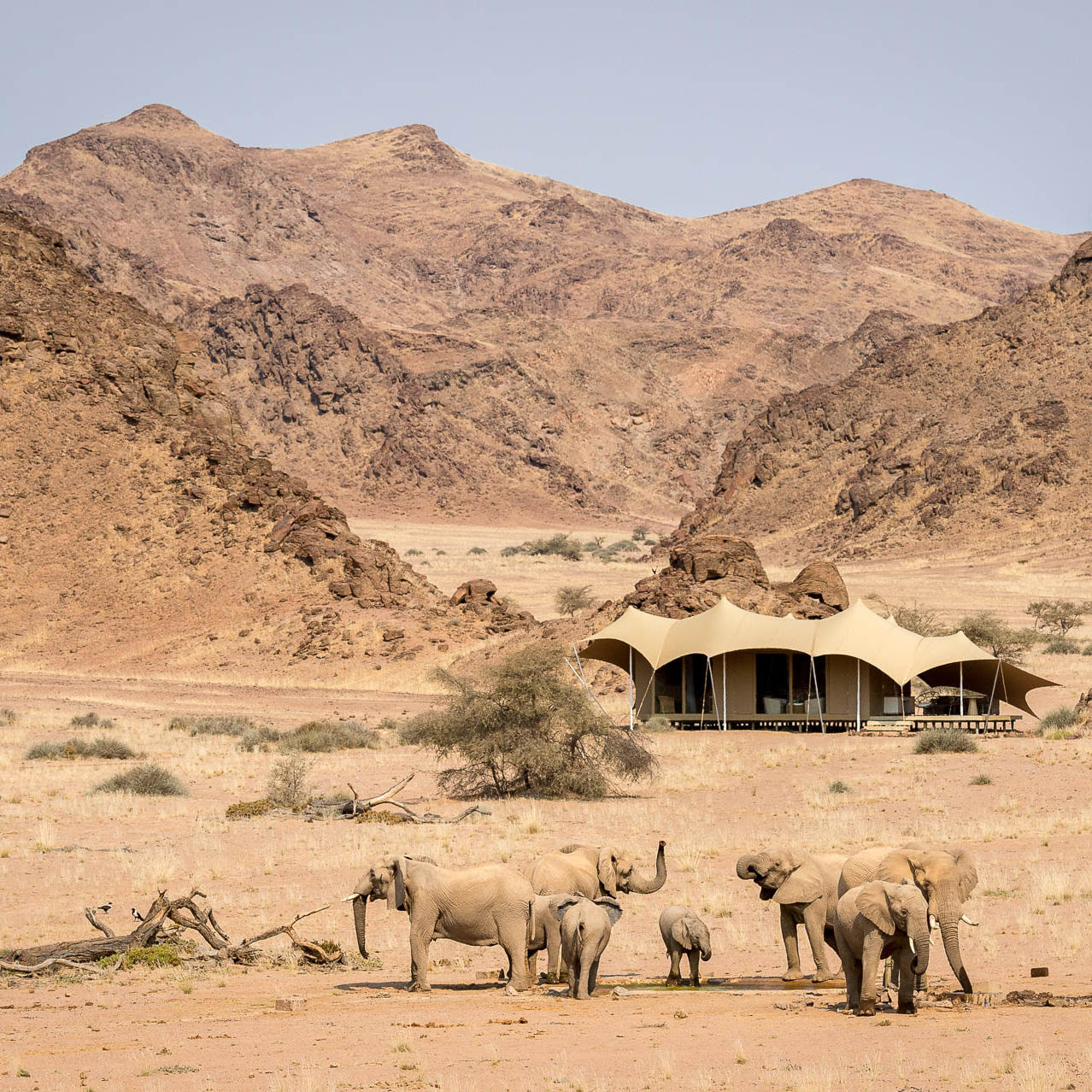 Water & Desert Excursion