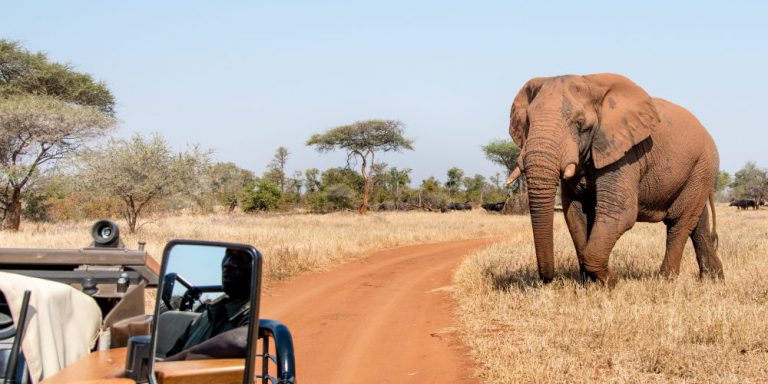 luxury african safari tours ubuntu
