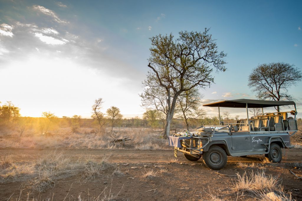 morning safari tours guided tours africa