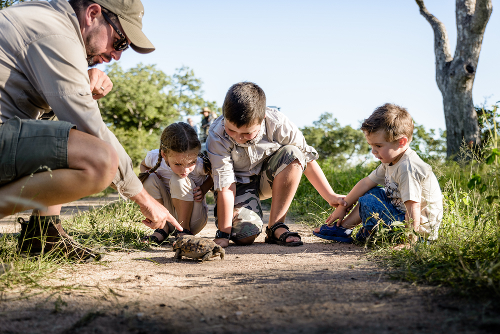 safari kid photo