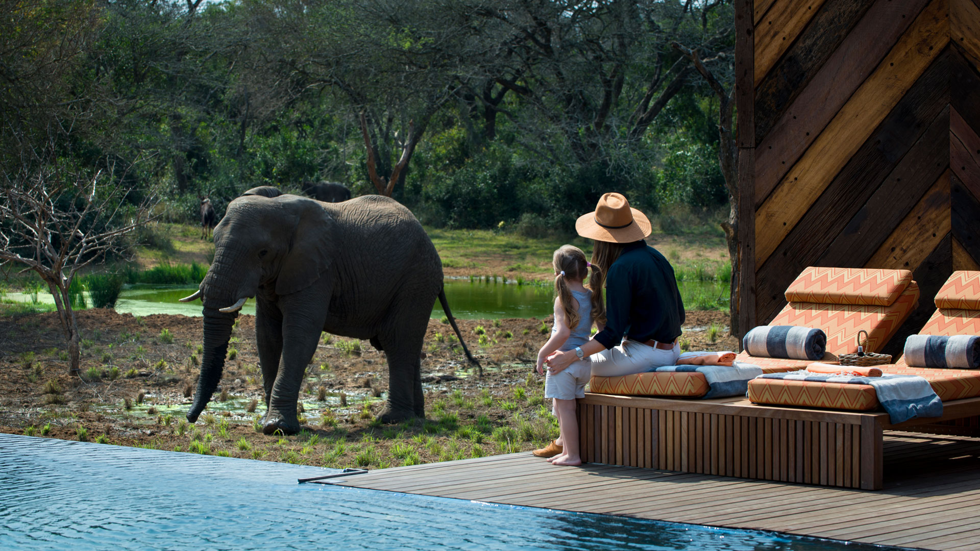 photo of family trip in Africa