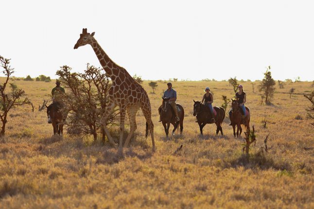 special-interests-horseback-safari