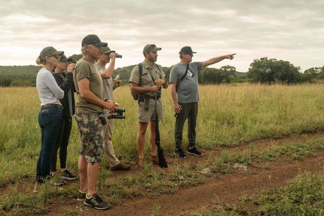 special-interests-walking-safari