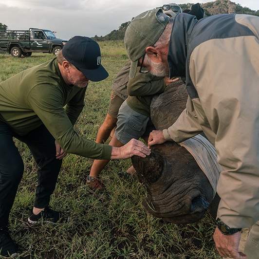 Conservation Safaris: South Africa 