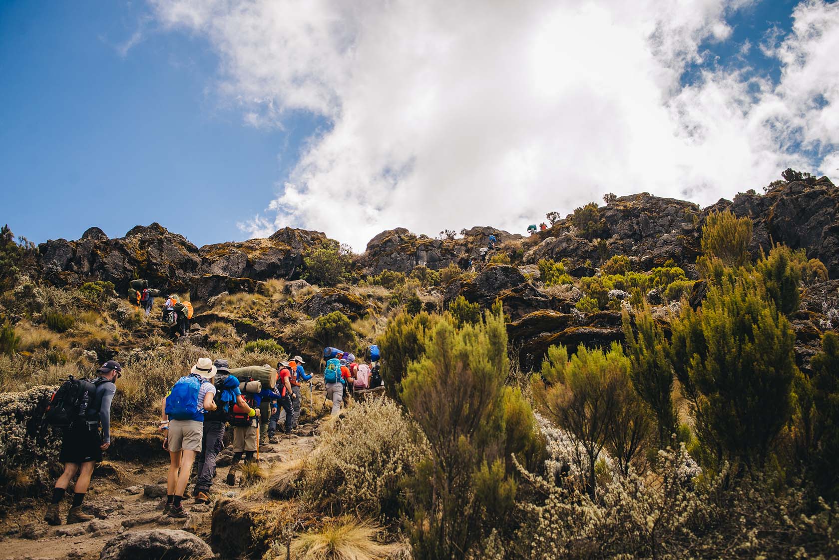 These are the Best Hikes in Africa Ubuntu Travel Safari Experts
