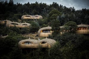 romantic treehouse getaways south africa