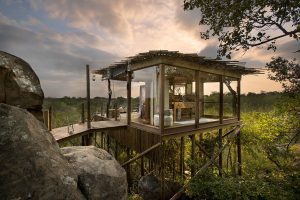 treehouse safari stay