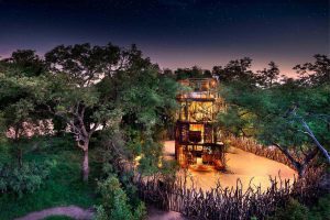 romantic treehouse getaways south africa