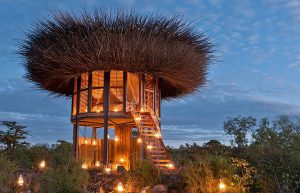 treehouse safari stay