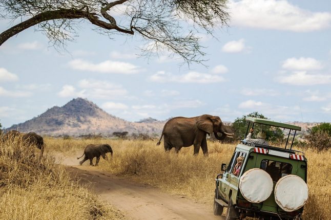 Tanzania travel guide | Ubuntu Travel Group Tanzania travel guide | Ubuntu Travel Group