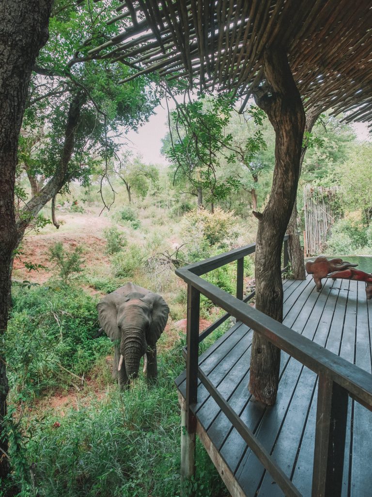 Singita Boulders South Africa