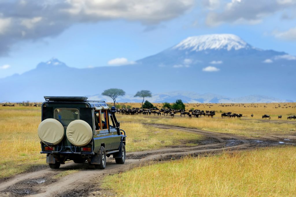 Kenya luxury safaris