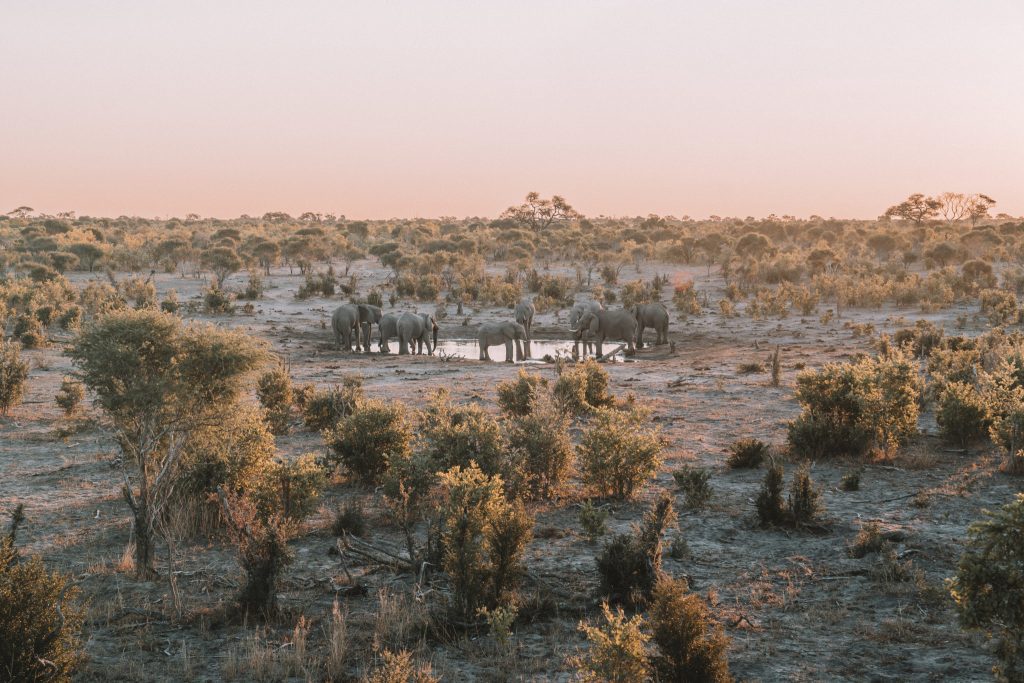 okavango-delta-brooke-saward