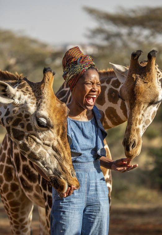 A woman feeding two giraffes by hand while visiting Giraffe Manor in Nairobi