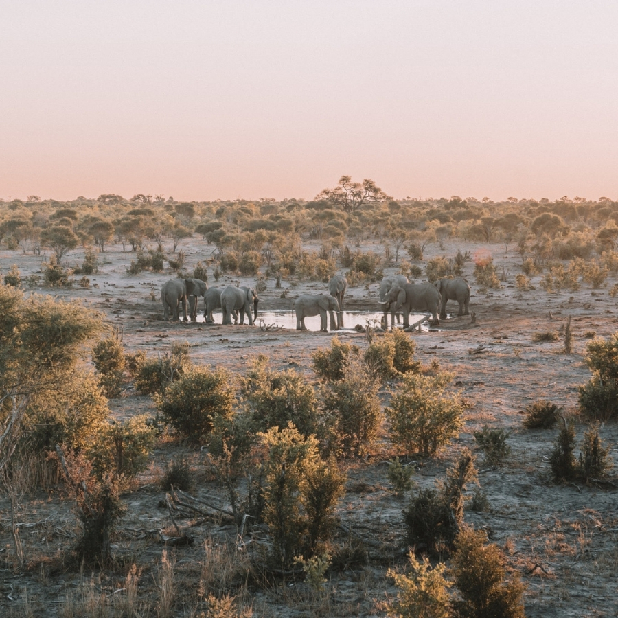 The Okavango Delta