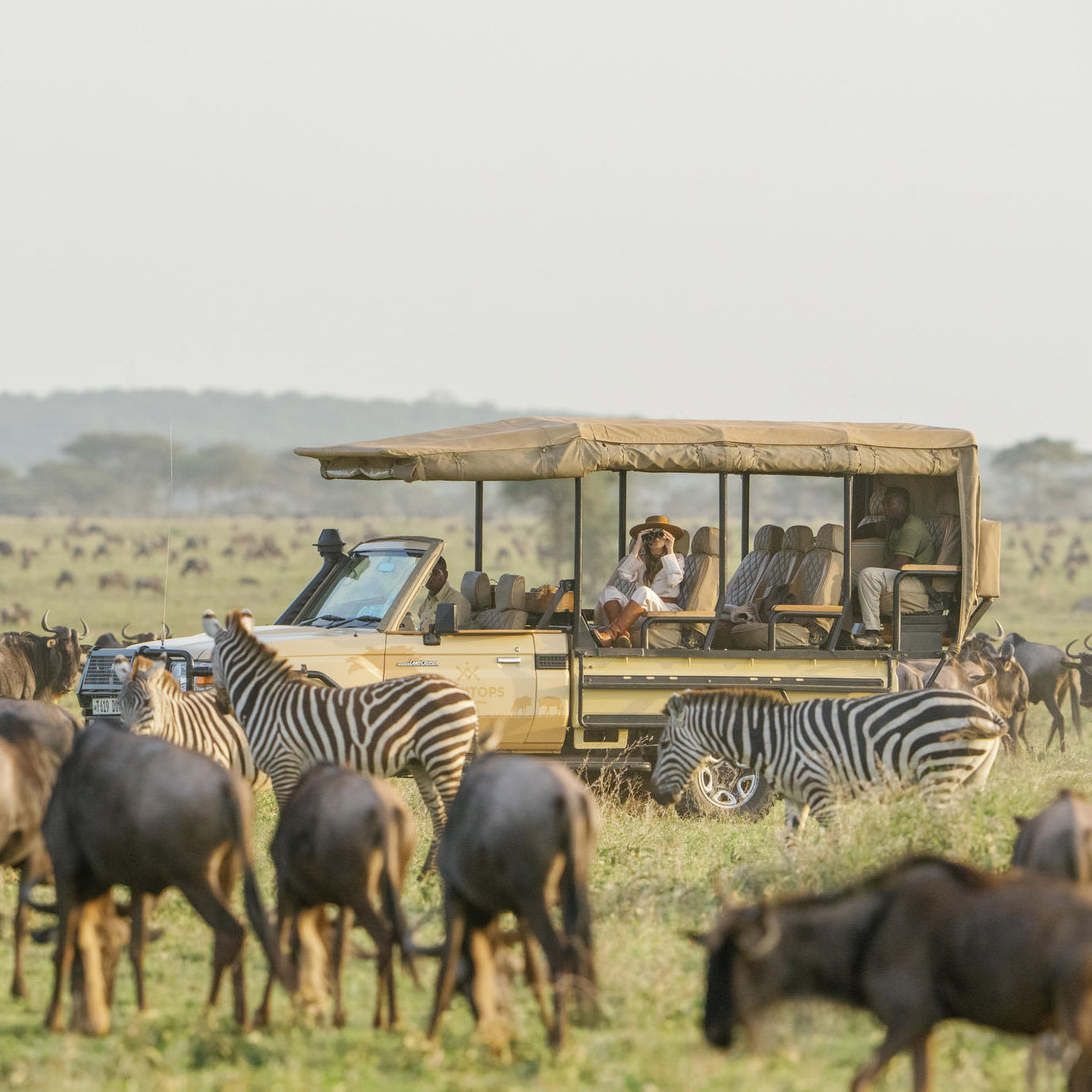 The Great Wildebeest Migration