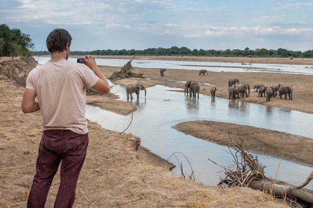 Walking safaris, South Luangwa, Zambia