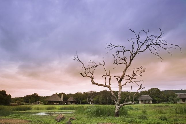 views-of-guest-areas-at-andbeyond-phinda-zuka-lodge-_4_-lry views-of-guest-areas-at-andbeyond-phinda-zuka-lodge-_4_-lry