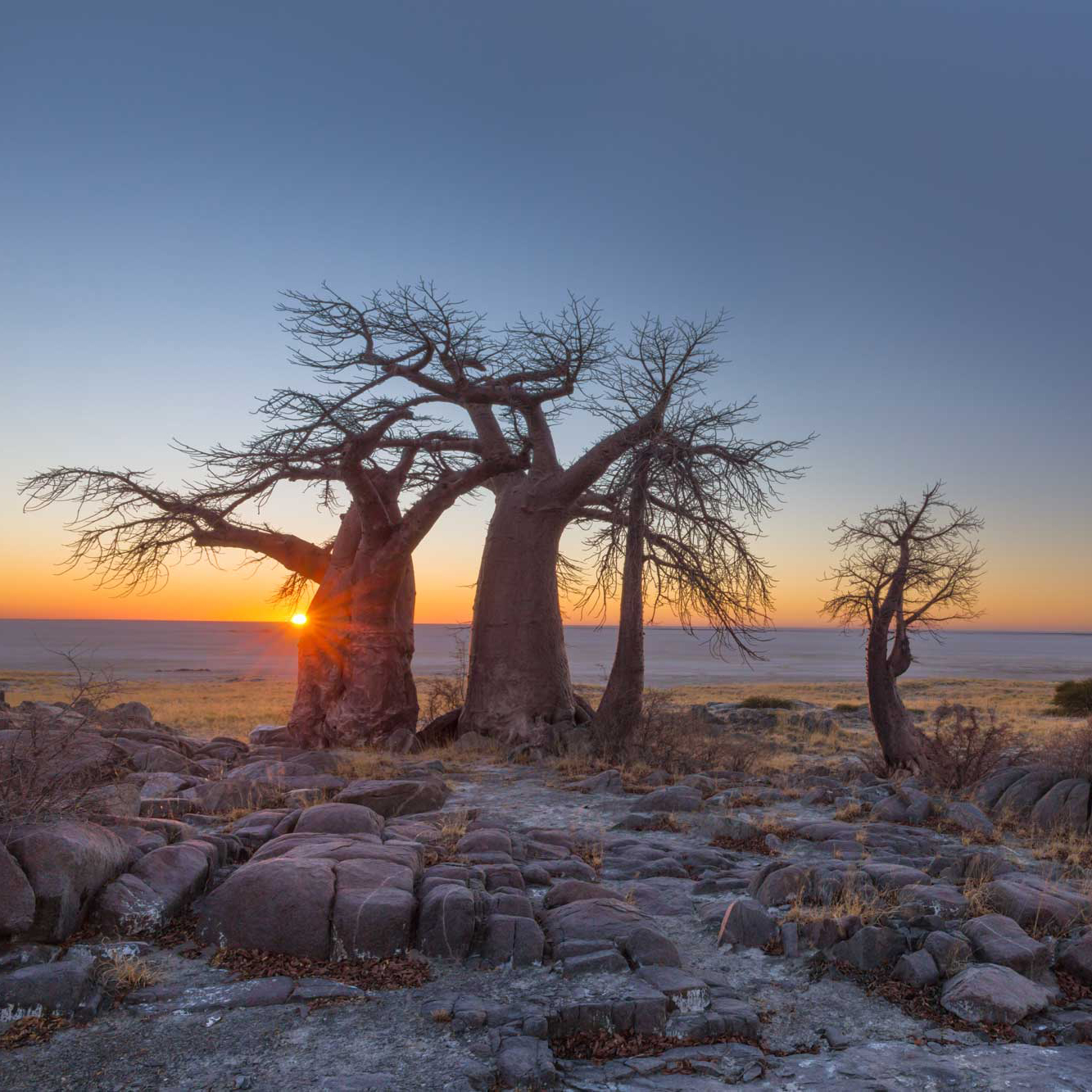 Makgadikgadi Pans  