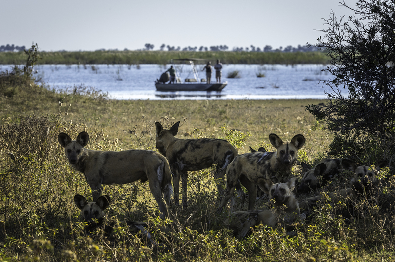 travel groups botswana