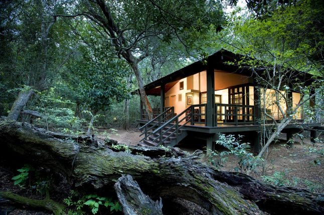 exterior-of-guest-suite-at-andbeyond-phinda-forest_lodge-_1_lr exterior-of-guest-suite-at-andbeyond-phinda-forest_lodge-_1_lr