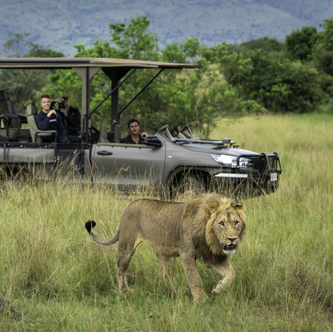 Akagera National Park 