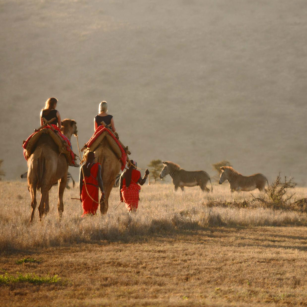 Laikipia | Lewa Conservancy | Kenya