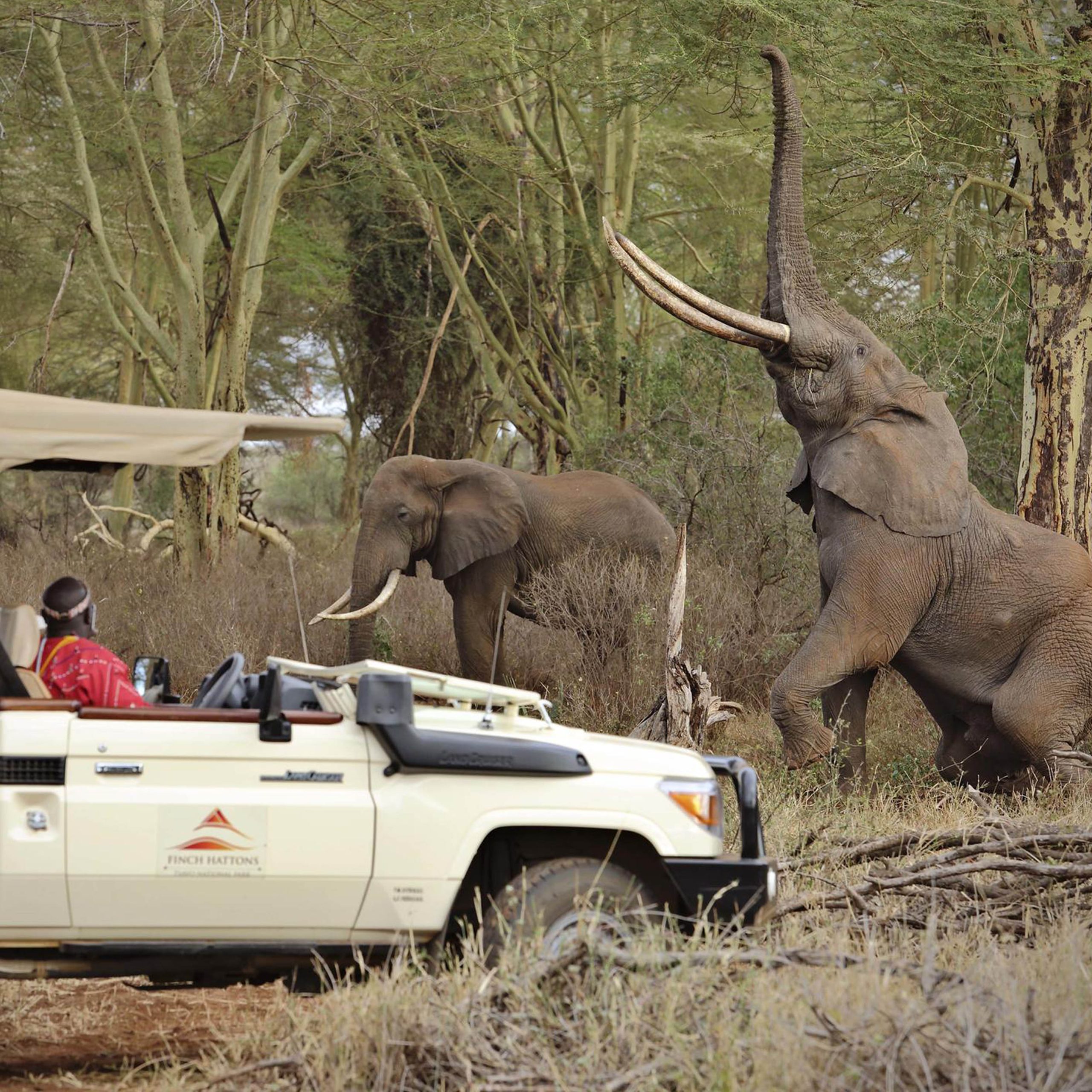 Tsavo National Park | Finch Hattons 